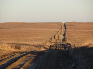An old farm road bisects the land in Wabaunsee County once belonging to African American farmers. 